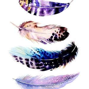 Meet your Posher, Misty